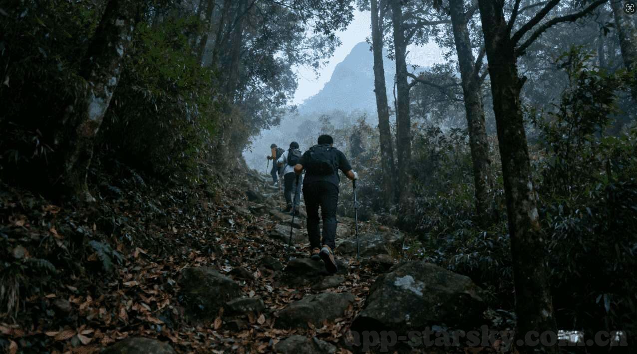 世界杯排球大奖赛-世界杯排球大奖赛，竞技与荣耀的舞台
